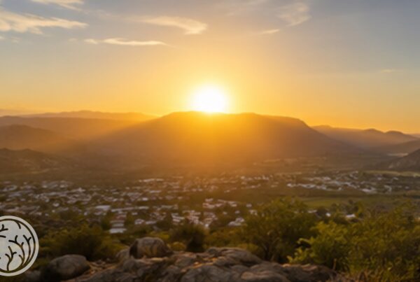 Winter getaway in the Western Cape